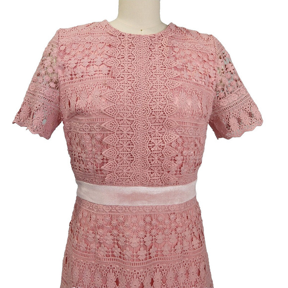 Rachel Parcell Pink Lace Sheath Dress Size S Velvet Coquette Crochet Pencil - Picture 3 of 10